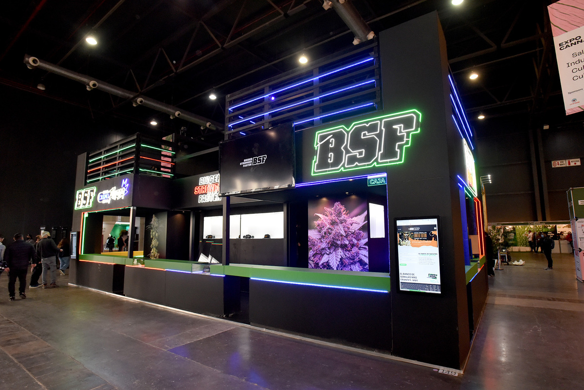 BSF